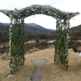 wedding flowers